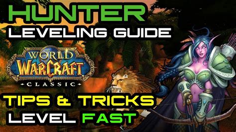 vanilla hunter leveling guide.